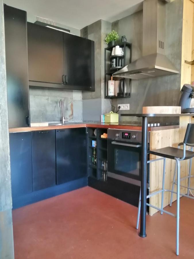Appartement De 28 M2, Centre Station Les 2 Alpes Лес дьо Алпс Екстериор снимка